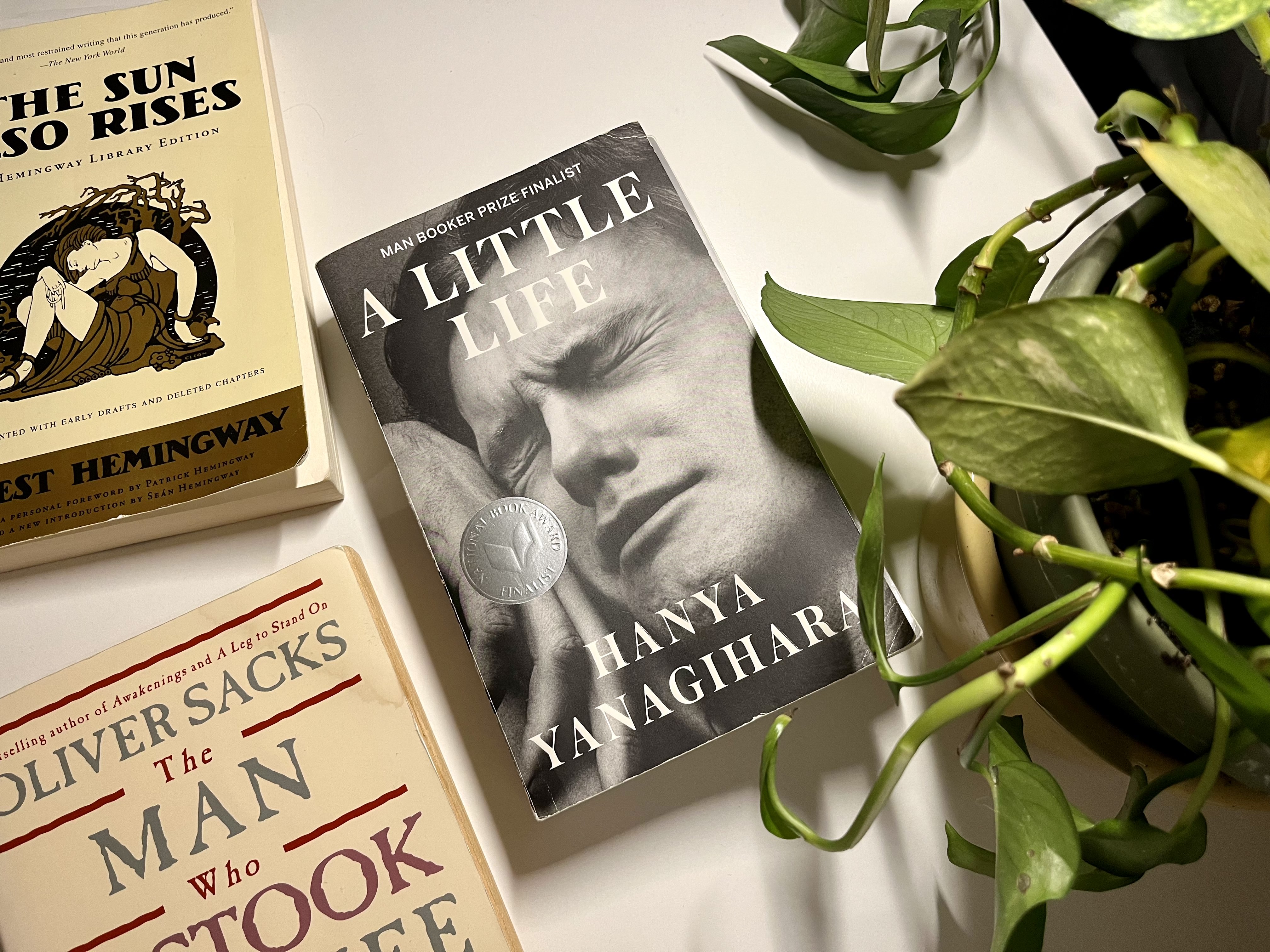 cover of the novel A Little Life by Hanya Yanagihara