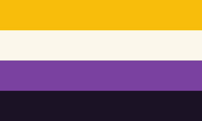 nonbinary flag that has a yellow stripe, white stripe, purple stripe, and dark purple stripe